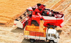 <b>确保粮食颗粒归仓</b>